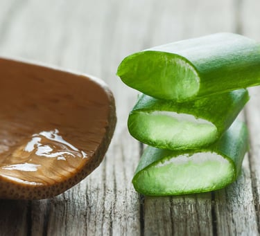 Fresh aloe vera gel soothes skin, hydrates and reduces irritation naturally