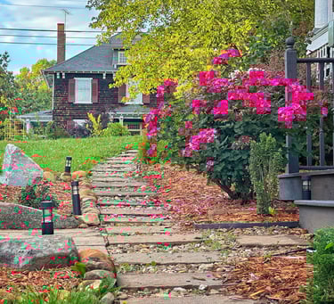 garden path with rose bushes 2123 rivermont
