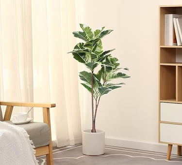 Tall Indoor Plant for Minimalist Living Room – Natural Green Accent for Balanced Modern Decor