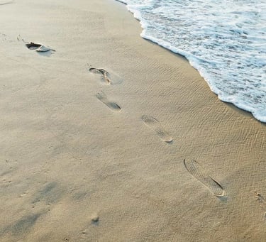 a beach shore with footprints imprinted into the sand going along the water's edge