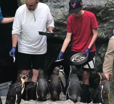 Ed & Eddie feeding the Penguins