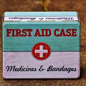 First Aid for an Insect Bite or Sting!