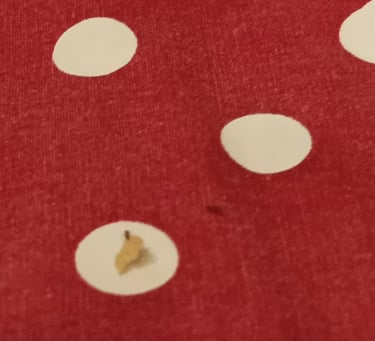 An ant dwarfed by a bread flake