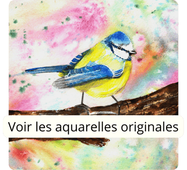 ventes d'aquarelles originales artiste française auvergne aquarelle personnalisées art