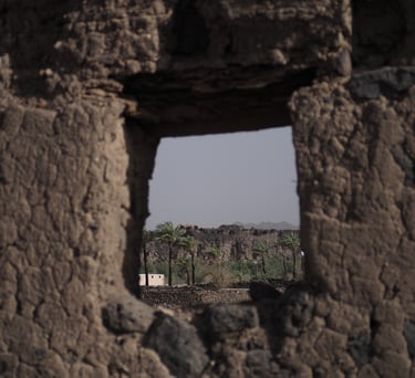 an old cracking stone wall with a small window overlooking a field of dying palm trees 
