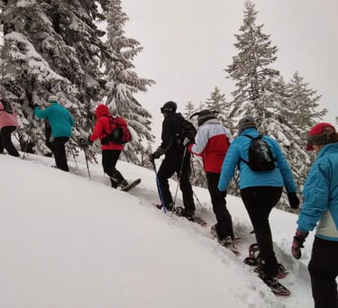 Grupo en actividad de raquetas de nieve