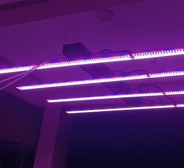 Customizable Spectrum Light