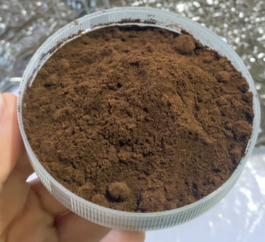vanilla powder on bowl