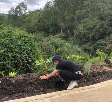 jardinería y paisajismo