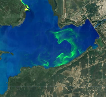 Floración de cianobacterias en el embalse Río Hondo, falso color Sentinel-2