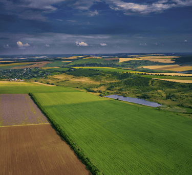 Buy, sell, invest, expand your land