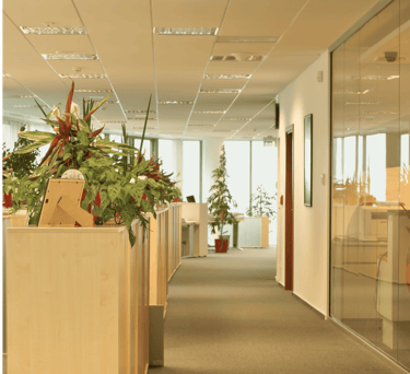 Invest in Commercial Real Estate