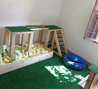 Modulo Propiocepción de perros