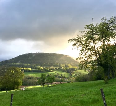 Montagnes vosgiennes