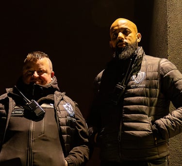 équipes sécurités pour grand événement grande taille concert et sport