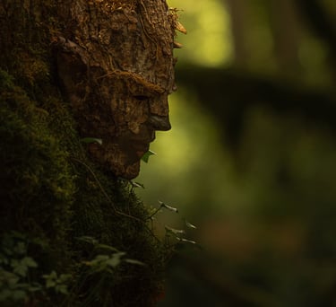 Masque d’écorce suspendu dans un environnement forestier, œuvre de Samuel Chazot