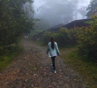 Morning trek to Cerro Kennedy