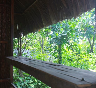 Simple yet airy room facing an open courtyard with rustic wood and nature all around.