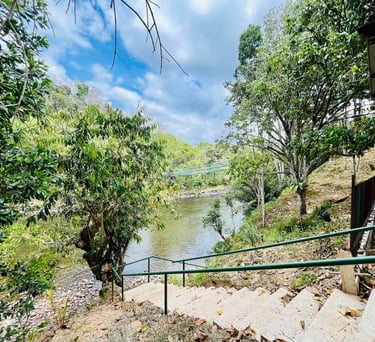 Stone stairs with green handrails leading down to a scenic tropical river surrounded by lush trees.