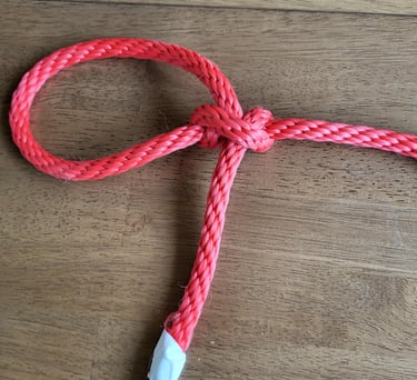 Tautline Hitch showing crossover structure