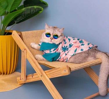 un gato gris con lentes de sol y una camisa tropical rosada acostado en una silla de playa