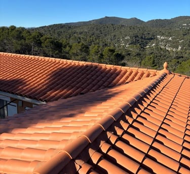 Pose d'un isolant innovant sur les tuiles afin d'éviter les fuites et d'isoler cette habitation