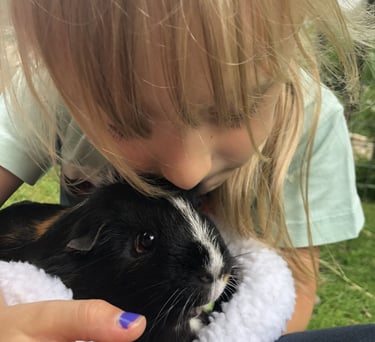 approche thérapeutique avec les animaux