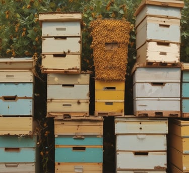 smiling woman standing near another woman beside mammogram machine