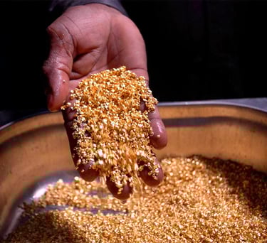 nuggets prep at refinery