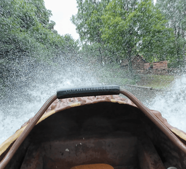 bellewaerde 2025 rio do cafe boomstam