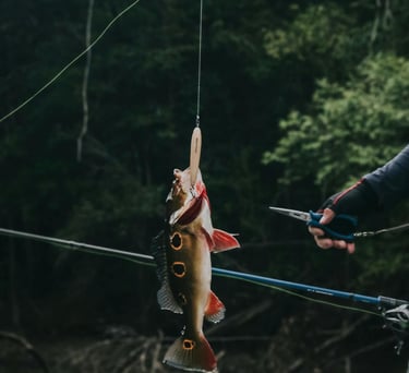 a man holding a fishing rod and a fish