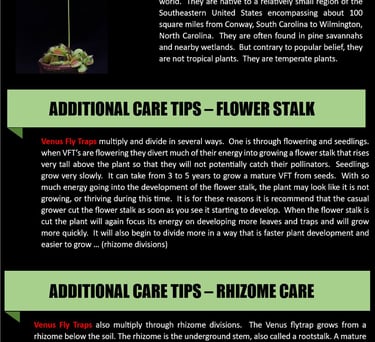 General information and thoughts on what to do with flower stalks.