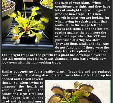 VFT's Replace their traps, they don't rejuvenate them.