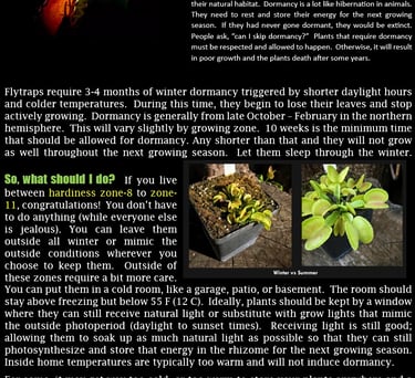 Winter Dormancy and what to do.
