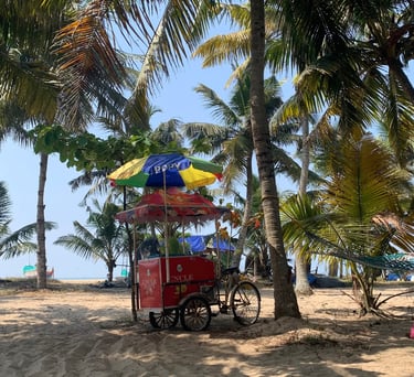 alleppey. beach