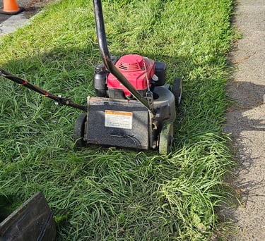 Landscaping, Lawn mowing, edging & all Gardening maintenance services