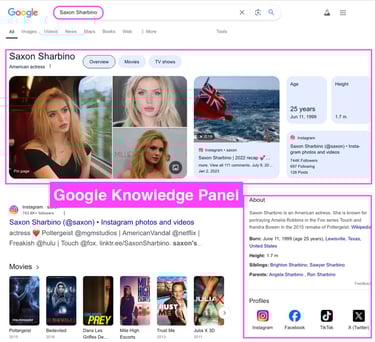Individual Google Knowledge Panel