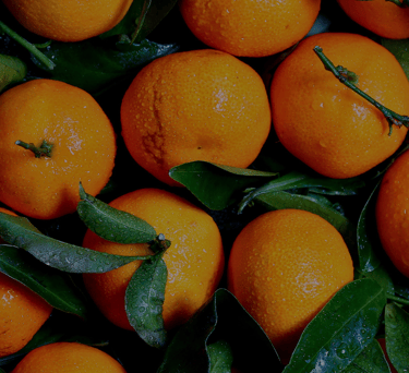 a bunch of oranges are shown in this picture