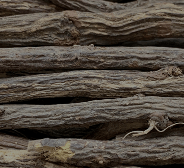 a pile of wood logs with a bird on it