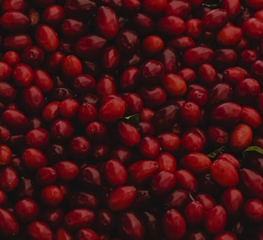 a bunch of cherries are shown in this picture