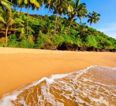 Goa tour