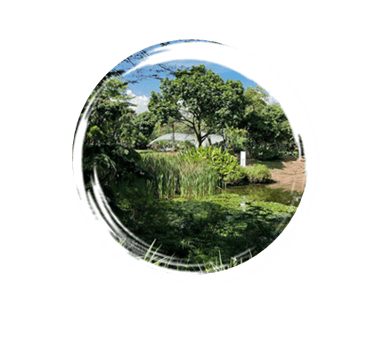 Jardin Botanico