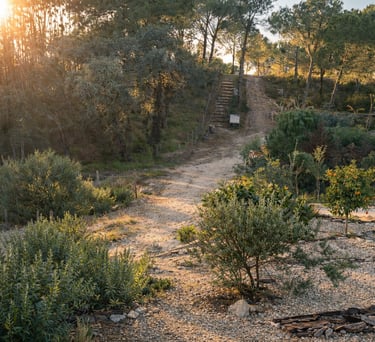 Caminho natural na Terra das Abelhas, projeto de apiturismo em Coruche, Ribatejo