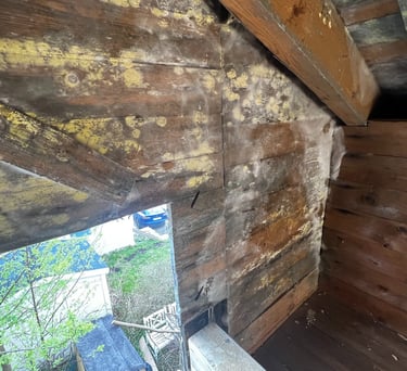 Krypgrundsavfuktare Västerås