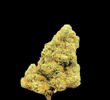 amnesia cbd