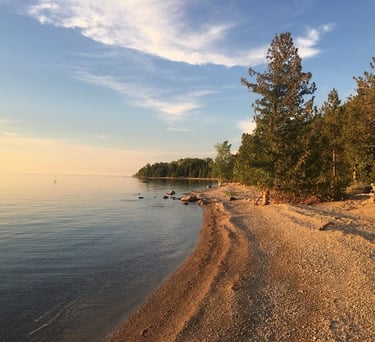 A forested beach observed while conducting an Environmental Impact Study near Port Elgin, Ontario.