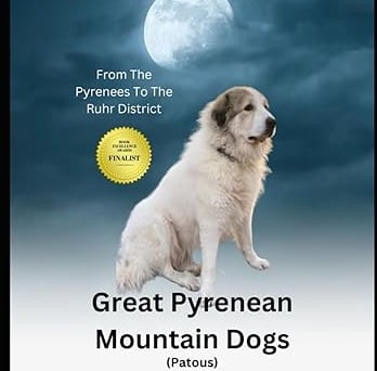 a dog sitting on a white surface with a moon in the background