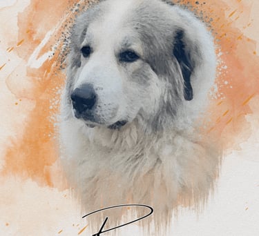 a dog is shown in this picture
