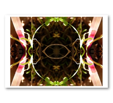 Reproduction Adam de Lamarcelle