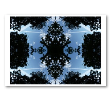 Carré Saint Louis de Lamarcelle